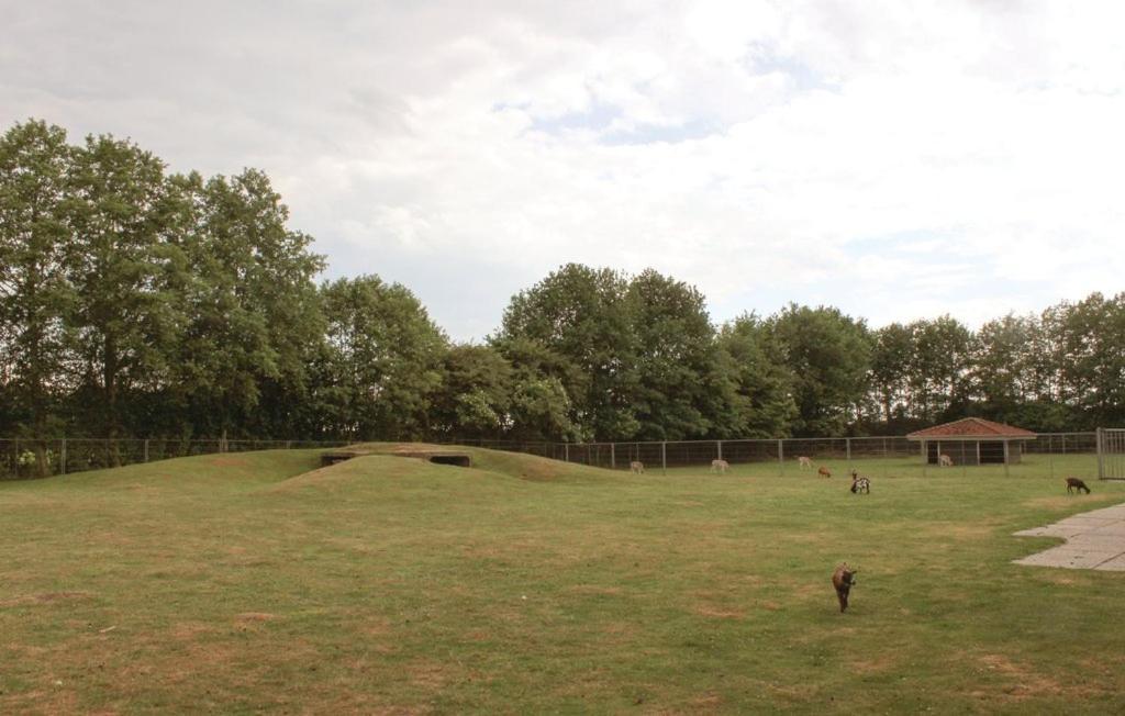 Het Familie Boshuisje - Vakantiewoning Op Prachtig Park Met Veel Faciliteiten Inc Ligbad Gramsbergen Exterior photo
